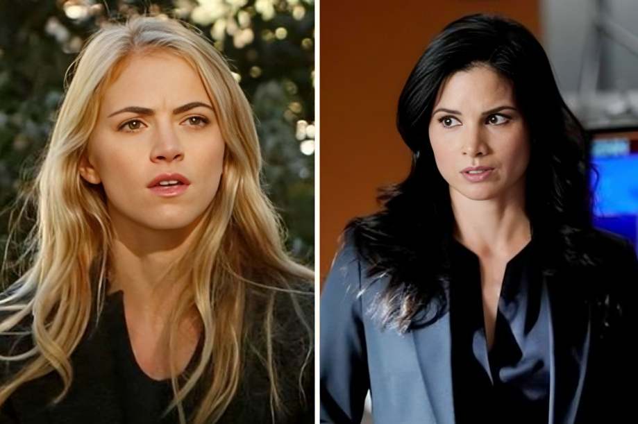 NCIS Season 23 Shocks Fans With Ellie Bishop’s Return!