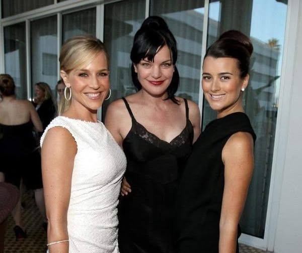 NCIS Fans Heartbroken After Losing a Beloved Cast Member!