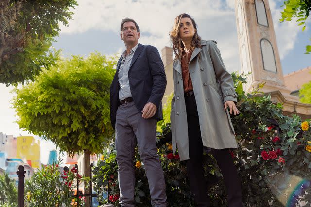 Michael Weatherly Dieted to Look “Hotter” for the New NCIS Spinoff 😱!