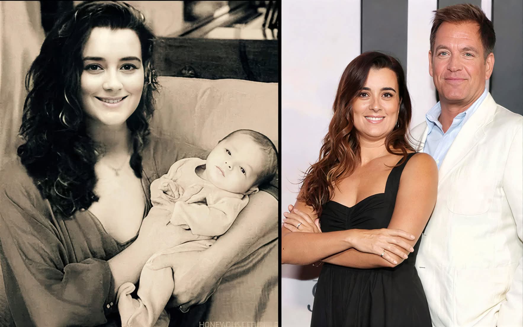 Cote de Pablo Breaks Her Silence on Motherhood — And How It Changed NCIS: Tony & Ziva Forever!