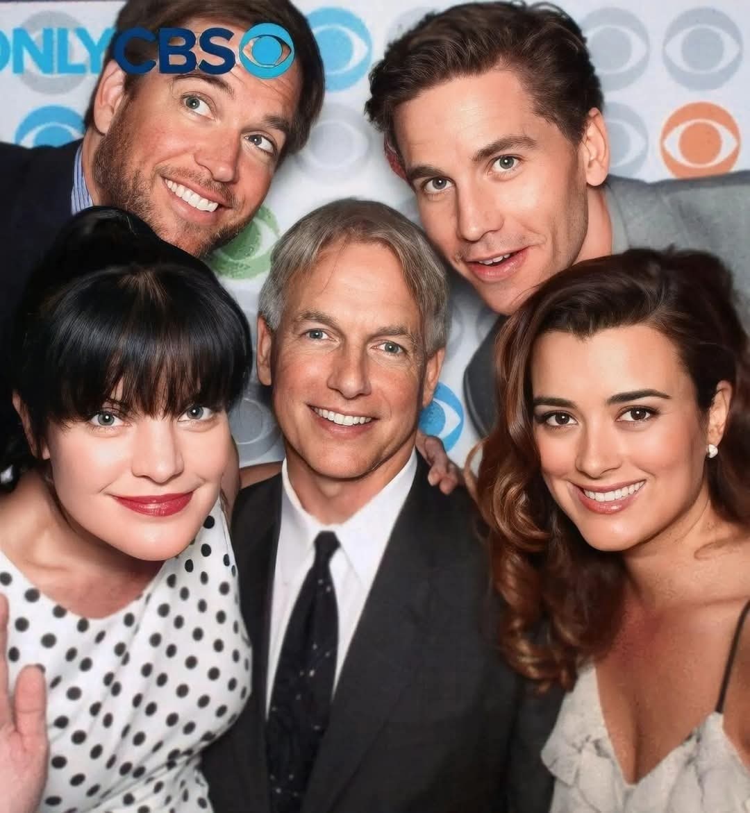 NCIS Cast Finally Reveals the Truth About Working with Mark Harmon!