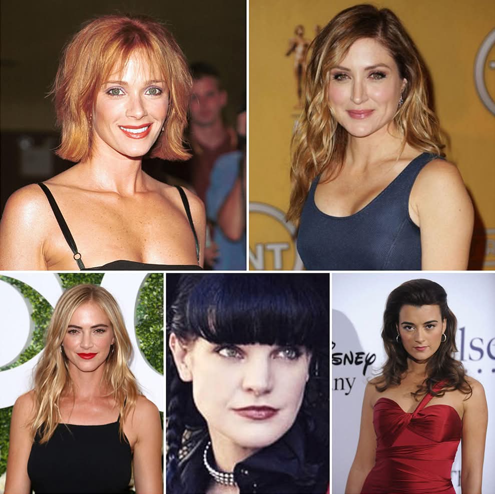 NCIS Fans Are Divided Over the Best Female Character!