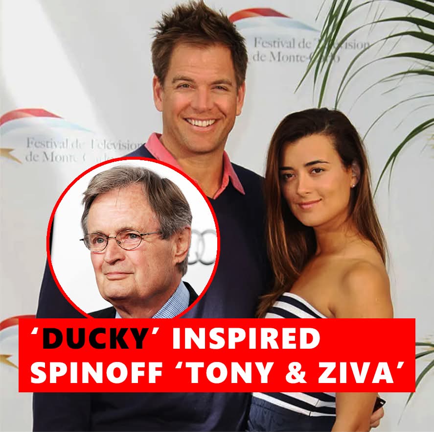 You Won’t Believe What Inspired the ‘Tony & Ziva’ Spinoff!