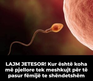 LAJM JETËSOR/ Zbulohet mosha ideale e meshkujve për të pasur fëmijë të shëndetshëm!