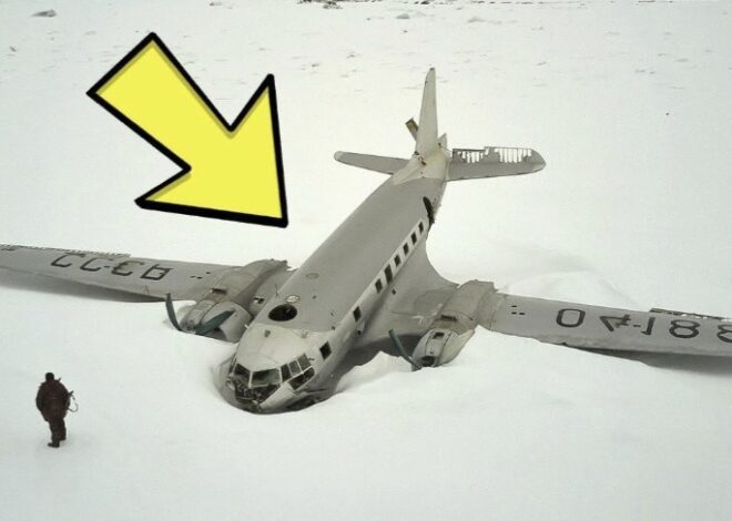 Shkencëtarët zbulojnë një aeroplan të varrosur në Antarktidë – ajo që u gjet brenda habit ekspertët!